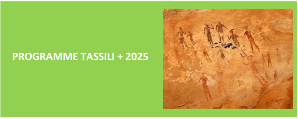 Appel à Projets PHC TASSILI+ 2025